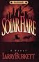Solar Flare