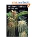 Bulbophyllums and Their Allies: A Growers Guide