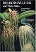 Bulbophyllums and Their Allies: A Grower's Guide
