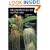 Bulbophyllums and Their Allies: A Growers Guide