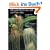Bulbophyllums and Their Allies: A Growers Guide