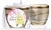 Baby Keepsake: Champagne Toast Heart Design Personalized Elegant Scented Pottery Voti (Set of 24)