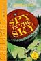 Spy in the Sky (Hyperion Chapters)
