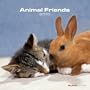 Animal Friends 2010 Wall Calendar X112