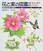 身近な樹木の1年―花芽から花・実・たねまで (花と実の図鑑)
