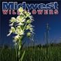 Midwest Wildflowers 2004 Calendar