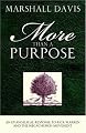 More Than A Purpose, An Evangelical Response to Rick Warren and the Megachurch Movement