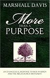 More Than A Purpose, An Evangelical Response to Rick Warren and the Megachurch Movement