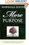 More Than A Purpose, An Evangelical Response to Rick Warren and the Megachurch Movement
