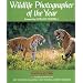 Wildlife Photographer of the Year: Portfolio 2 (Portfolio Two)