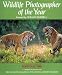 Wildlife Photographer of the Year