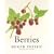Berries
