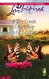 A Dry Creek Courtship (Dry Creek Series #13) (Love Inspired #459)