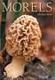 Morels