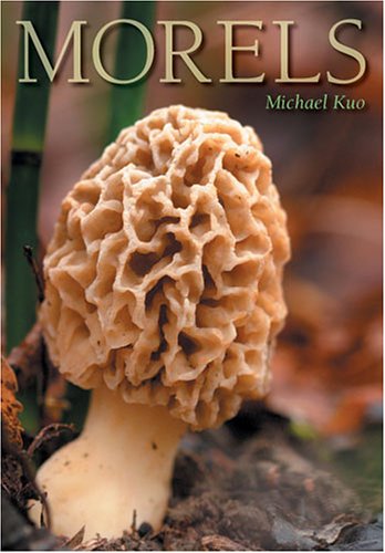Morels under Plants in The Books Store