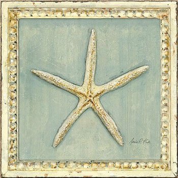 Classic Starfish Detail von Arnie Fisk, 21x21