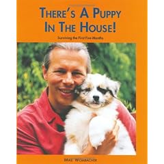 There's a Puppy in the House: Surviving the First Five Months