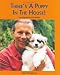 There's a Puppy in the House: Surviving the First Five Months