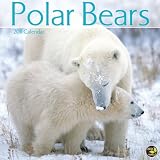 Polar Bears 2011 Wall Calendar