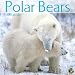 Polar Bears 2011 Wall Calendar by TF Publishing