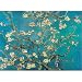 Vincent Van Gogh Rami Di Mandorlo in Fiore 1000pc Jigsaw Puzzle Image