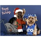 Pet Star Interfaith Cards - Yorkies by  Pet Star Photography
