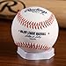 MLB Kansas City Royals Team Logo Baseball