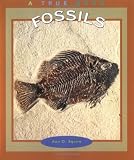 Fossils (True Books)