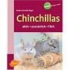 Chinchillas: Aktiv - possierlich - flink