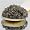 American Paddlefish Caviar - 
