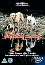 The Incredible Journey [DVD] [1963]