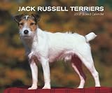 Jack Russell Terriers 2007 Calendar