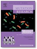 New insights into the mechanism of homologous recombination in yeast [An article from: Mutation Research-Reviews in Mutation Research]
