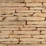 Texture Plus TP-SSL SAMP Indoor/Outdoor Siding Panel, Stacked Stone, Light Tan - Sample