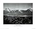 Ansel Adams (Mt. Moran) Art Poster Print - 16 X 20