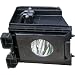 Samsung - Rear Projection DLP TV Lamp