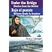 Under the Bridge/ Bajo el puente: Stories from the Border/ Relatos desde la frontera