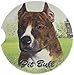 E&S Pets Pit Bull Brindle Coaster, 3