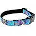 RC Pets 1 Inch Adjustable Dog Clip Collar, Large, Tropical Paisley,L (Neck: 15