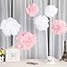 Wisehands 12 Pieces Tissue Pom Poms for Bachelor Bridal Party, Baby Shower, Wedding Decorations, Birthdays, Valentines- (White & Pink)