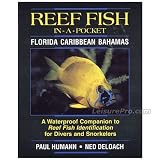 Reef Fish In-A-Pocket Guide Florida Caribbean Bahamas