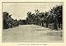 1905 Print Date palm Avenue Westlake MacArthur Park - Original Halftone Print