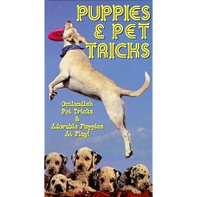 Puppies & Pet Tricks