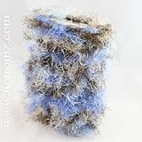 EXOTIC BLUE iPod NANO (original and revisited) Case - FRILLY FUN FOR YOUR OUTRAGEOUS 'TUDE