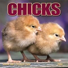 Chicks Mini Wall Calendar: 2004