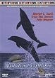 Der Tag des Delphins