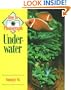How to Photograph Underwater (How To Photograph Series)