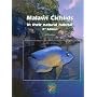 Malawi Cichlids in Their Natural Habitat