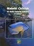 Malawi Cichlids in Their Natural Habitat