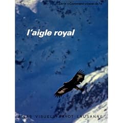 L'aigle royal